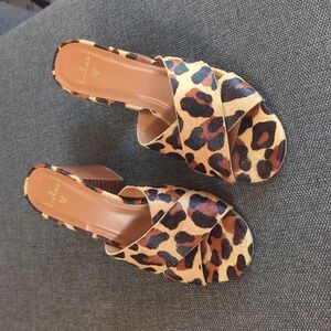 Lulu's Leopard Print Mule Heels Size 8